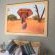 Lindiwe Safari Lodge