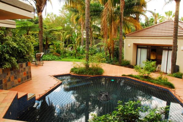 Swmming pool