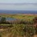 Oubaai Hotel Golf & Spa