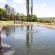 Trout Pond