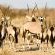 Tutwa Desert Lodge