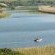 Zinkwazi Lagoon Lodge
