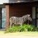 De Kleine Serengeti Game Lodge