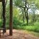 Black Rhino Game Lodge - Pilanesberg Game Reserve