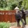 Khaya Ndlovu Manor House
