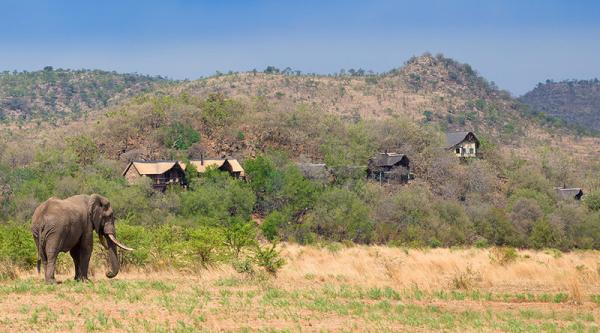 Tshukudu Bush Lodge