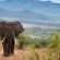Tshukudu Bush Lodge
