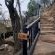 Tshukudu Bush Lodge