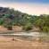 Tshukudu Bush Lodge