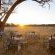 Hwange Safari Lodge