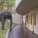 Hwange Safari Lodge
