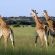 Zwahili Private Game Lodge and Spa