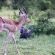 Zwahili Private Game Lodge and Spa
