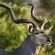 Zwahili Private Game Lodge and Spa