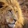 Zwahili Private Game Lodge and Spa