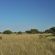 Zwahili Private Game Lodge and Spa