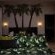 Mauritius Elite Suite