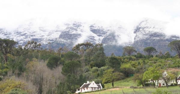 Cottage Fynbos