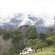 Cottage Fynbos
