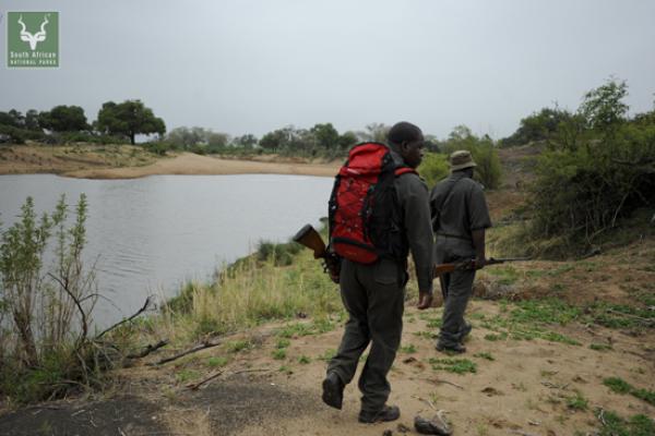 Kruger Park Game Drives
