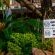 Hamilton Urban Farm and Guest House