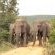 Nungubane Private Game Lodge