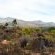 Avani Lodge Private Nature Reserve