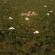 Thanda Private Game Reserve