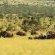 Thanda Private Game Reserve