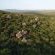 Thanda Private Game Reserve