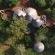 Thanda Private Game Reserve
