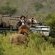 Thanda Private Game Reserve