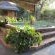 Splash Pool