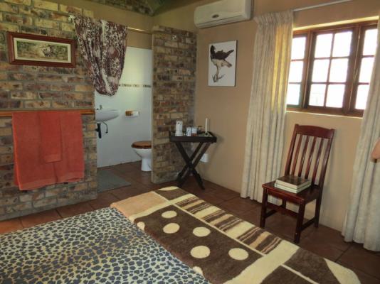 Rhino Room 