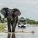 The Boat Excursion at Muchenje