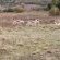 Kloof Bed and Breakfast