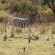 Kloof Bed and Breakfast