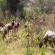 Kloof Bed and Breakfast