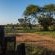LookOut Safari Lodge
