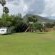 Profcon Country Cottages