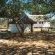 Balule (Satellite Camp) - Kruger Park