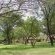 Crocodile Bridge Restcamp - Kruger Park