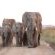 Lions Valley Lodge