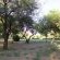 Crocodile Bridge Restcamp - Kruger Park