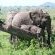 Esiweni Lodge