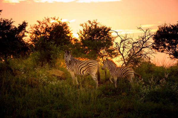 Umzolozolo Private Safari Lodge