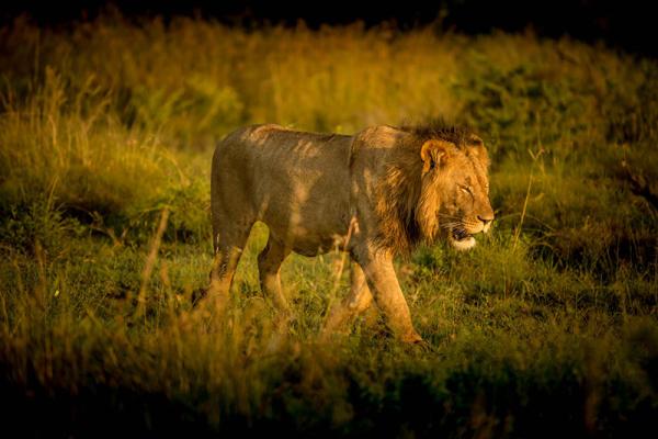 Umzolozolo Private Safari Lodge
