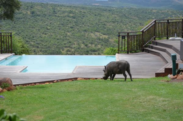 Umzolozolo Private Safari Lodge