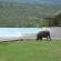 Umzolozolo Private Safari Lodge