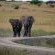 Umzolozolo Private Safari Lodge